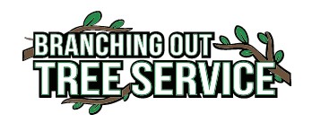 Tree Cutting & Trimming Ronkonkoma